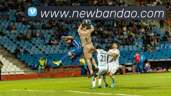 数据防护可视化