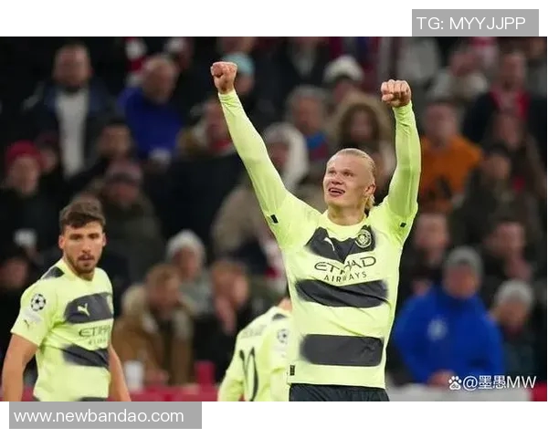 新世纪五大联赛球员连续进球纪录莱万14场领衔哈兰德范尼紧随其后