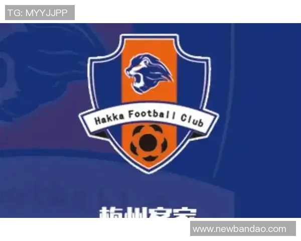 梅州客家降入中甲副总经理表示球队将继续努力规划未来