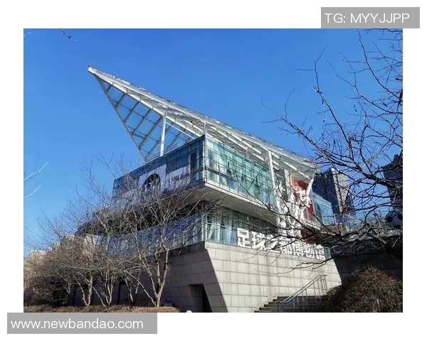 施拉普纳：要让中国足球走向辉煌需重视技术与精神而非金钱利益