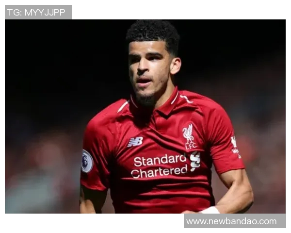 19岁边锋科尔坎贝尔向多特提交转会申请希望冬窗离队